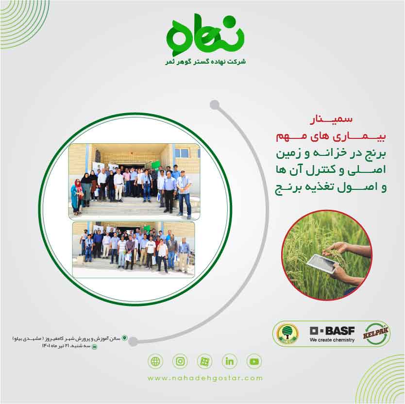 کلیپ سمینار بیماری های مهم برنج در خزانه و زمین اصلی در کامفیروز